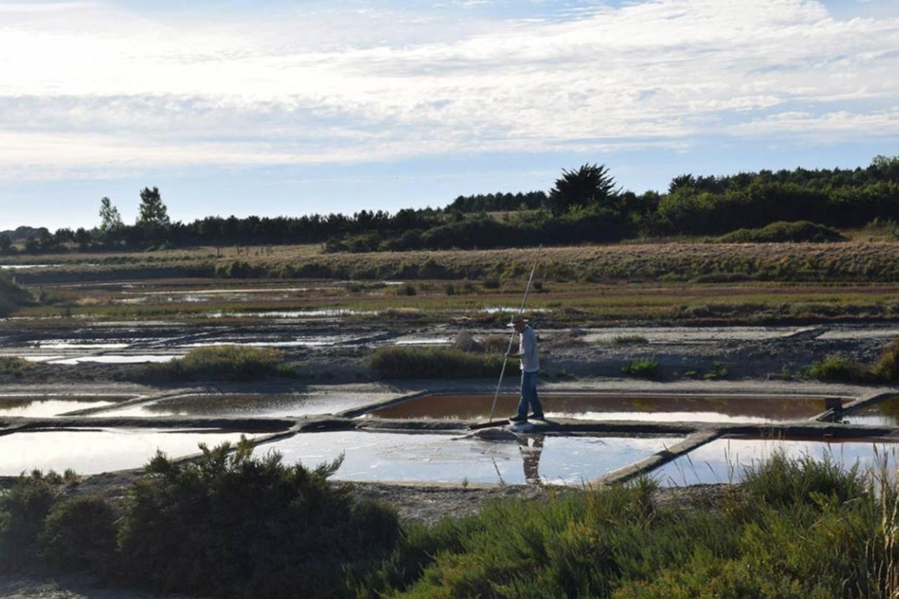 Spacious Nest With Terrace Near The Beach Saint-Hilaire-de-Talmont Eksteriør billede